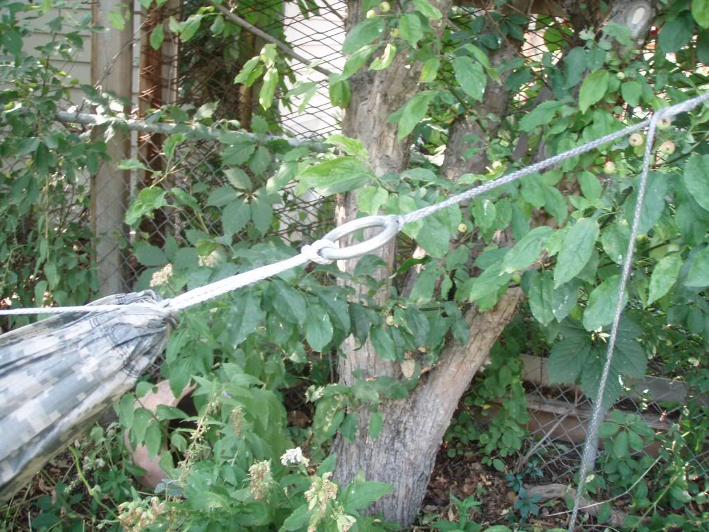 Ridgeline with continuous loop larks head or loop